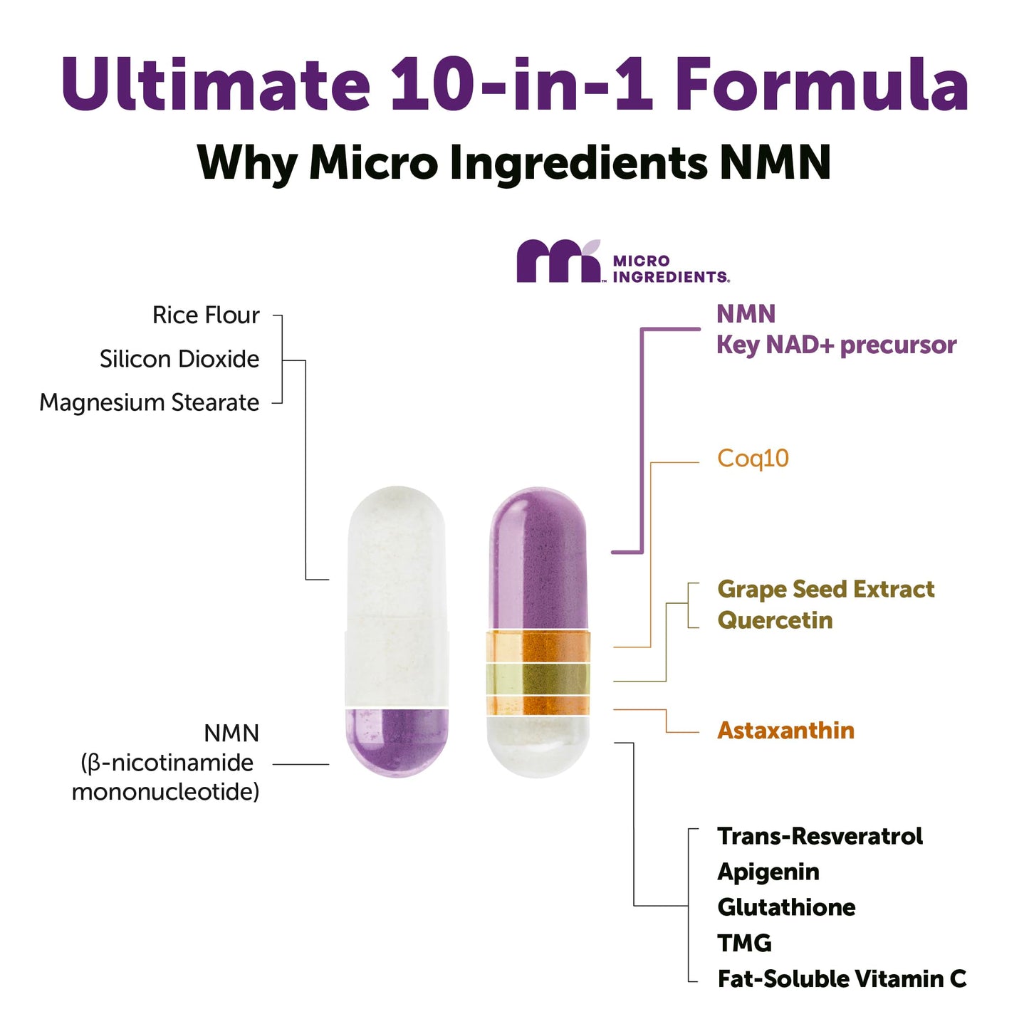 Micro Ingredients NMN Complex 1000mg Per Serving Capsule, 120 Count