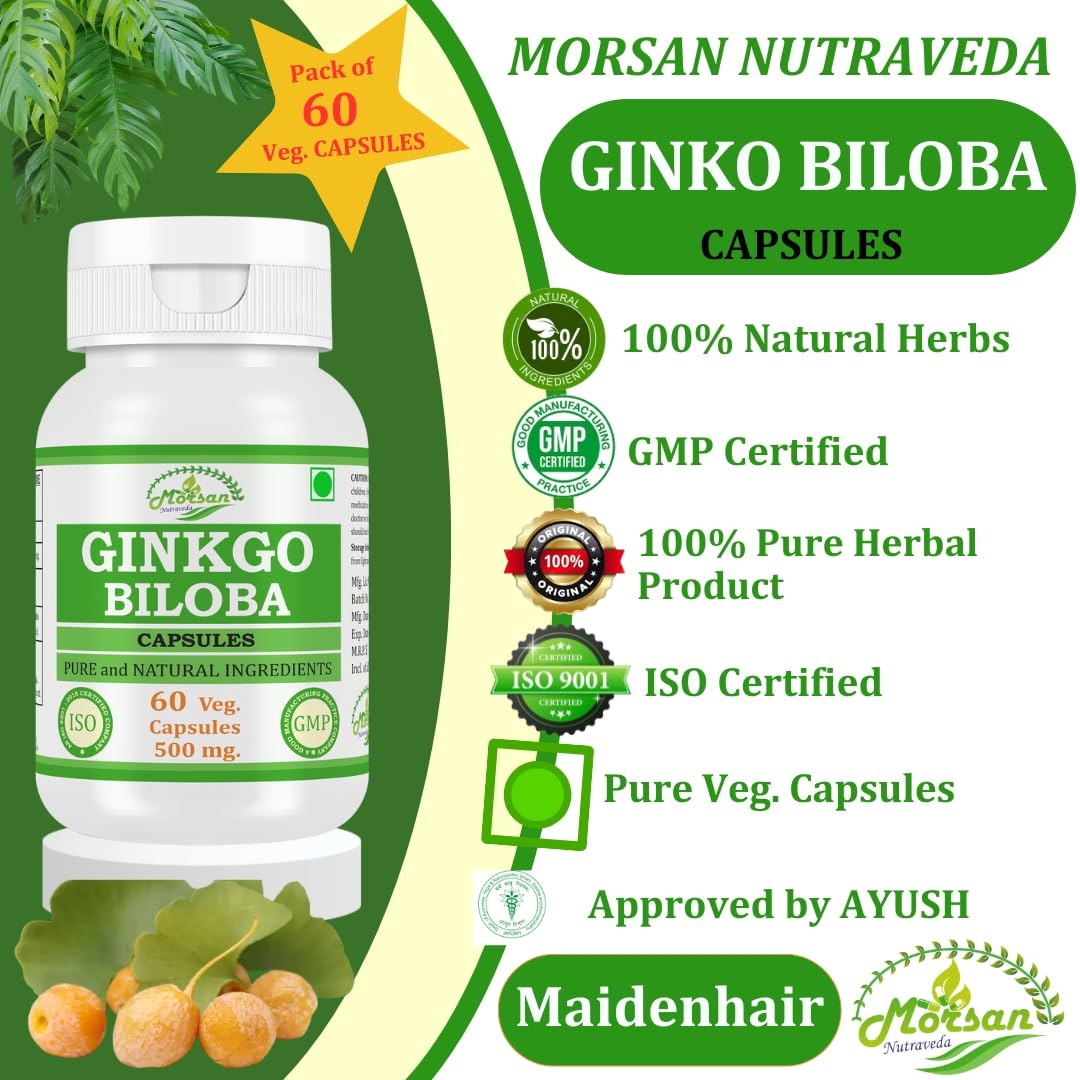 Morsan Nutraveda Ginkgo Biloba Capsules 500 mg, 240 Count