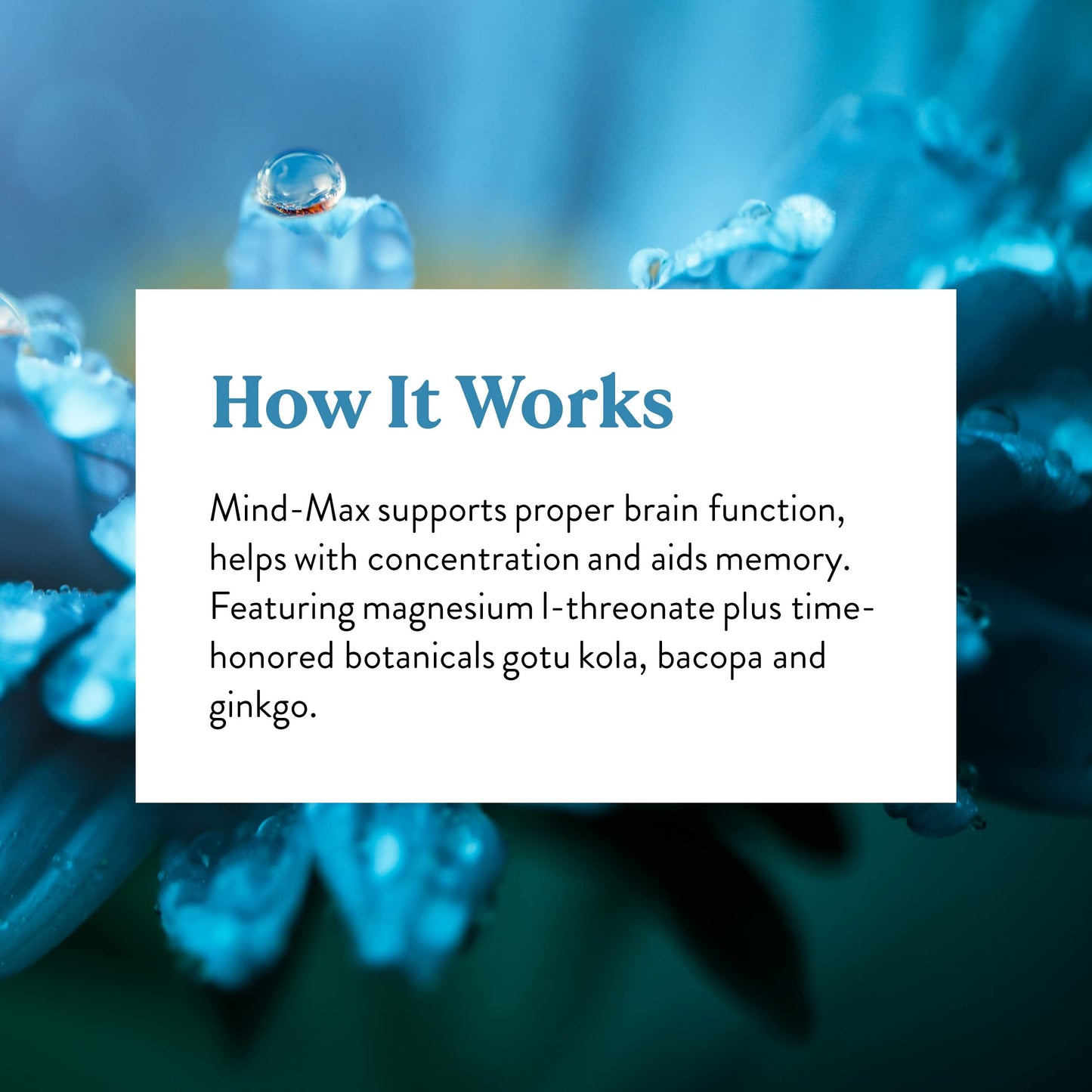Nature's Sunshine Mind-Max Capsule 90 Capsules