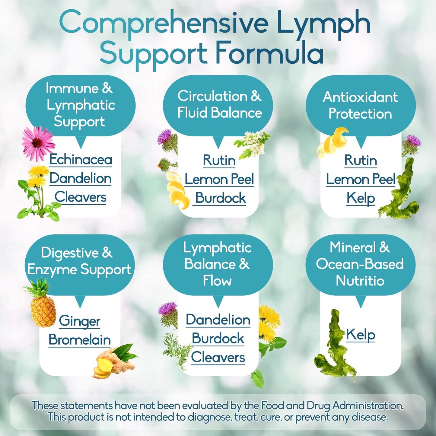 GAVYNETH Lymphatic Drainage Supplements for Lymph System Support with Echinacea, Dandelion & Burdock for Immune & Circulation Support, Vegan Herbal Formula for Women & Men, 60 Capsules