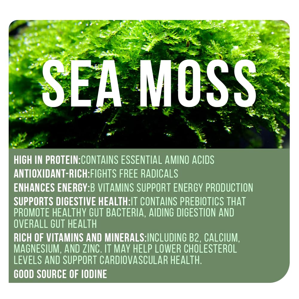 Belmonia Sea Moss Gummies 60 Count