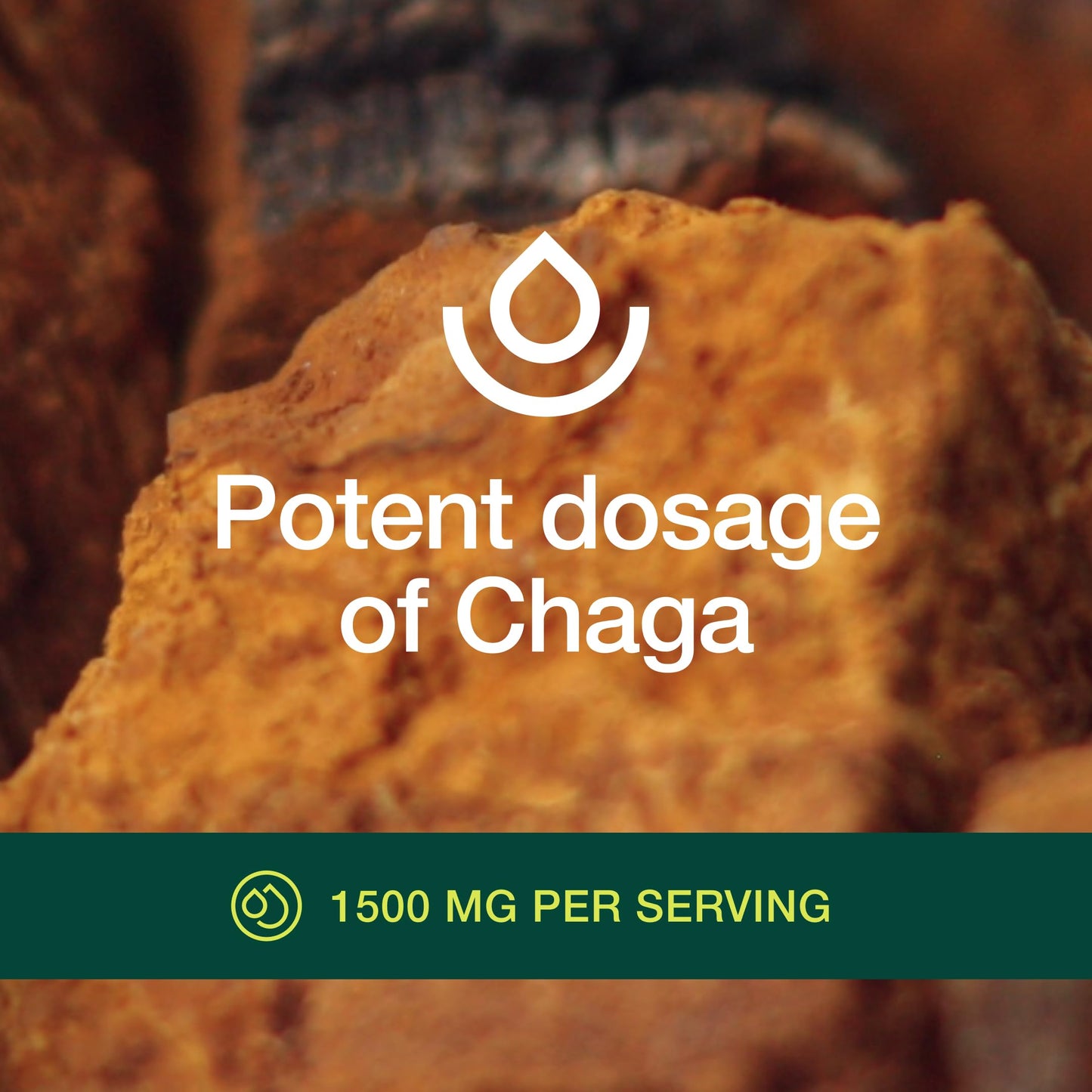 Fresh Nutrition Organic Chaga Mushrooms Capsules, 180 Count