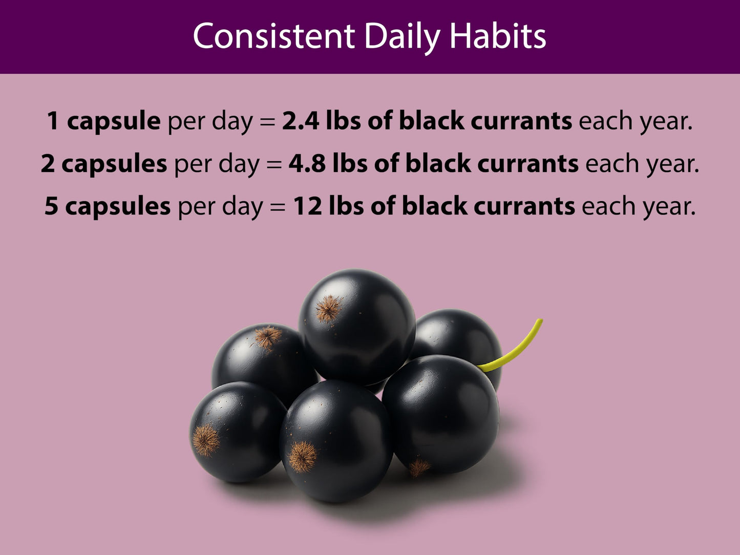 KOYAH Organic Black Currant Capsules, 600 mg per Capsule, 60 Capsules