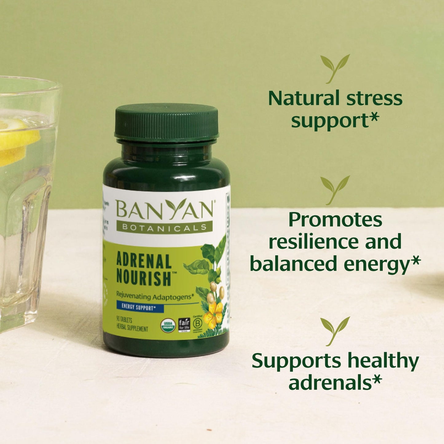 Banyan Botanicals Organic Adrenal Nourish Tablet 90 Tablets