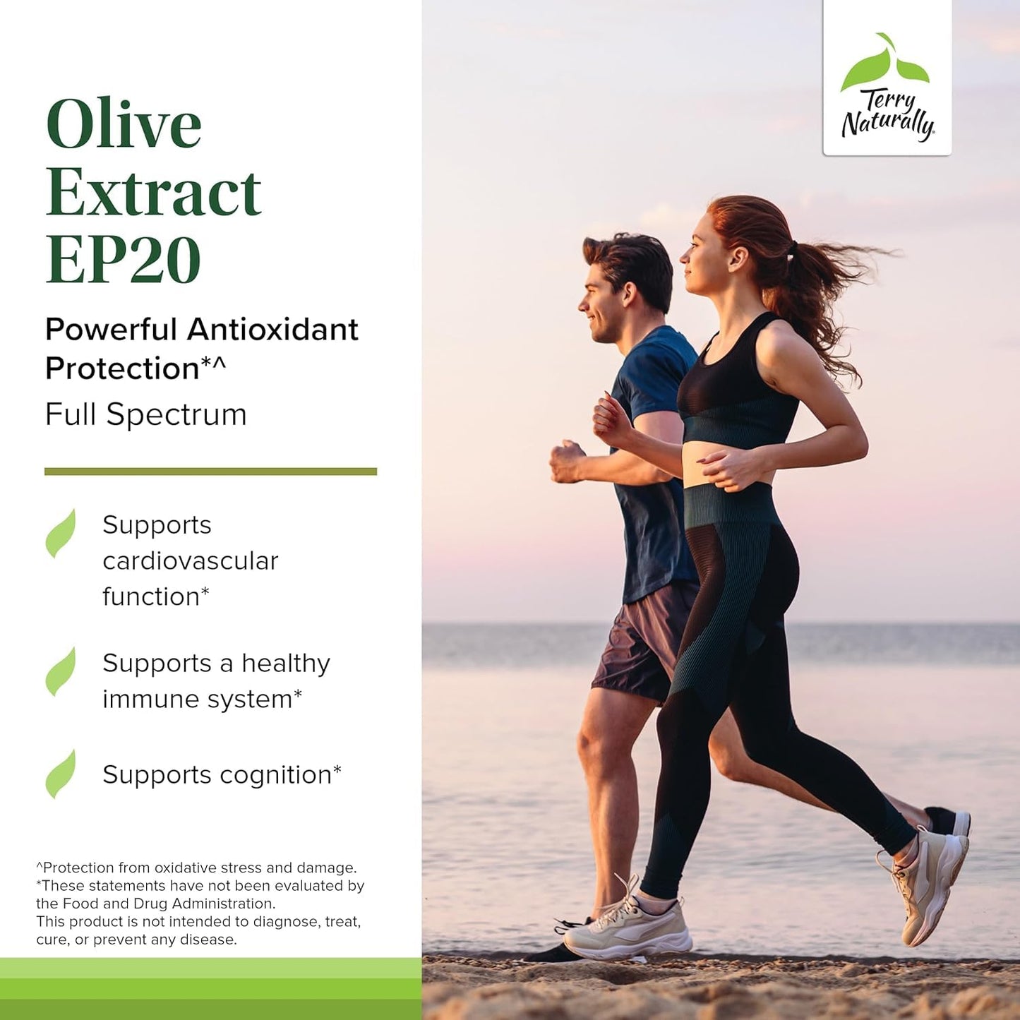Terry Naturally Olive Extract EP20 Brain Health Support with Olive Leaf Extract, Herbal Immune Support, 60 Capsules