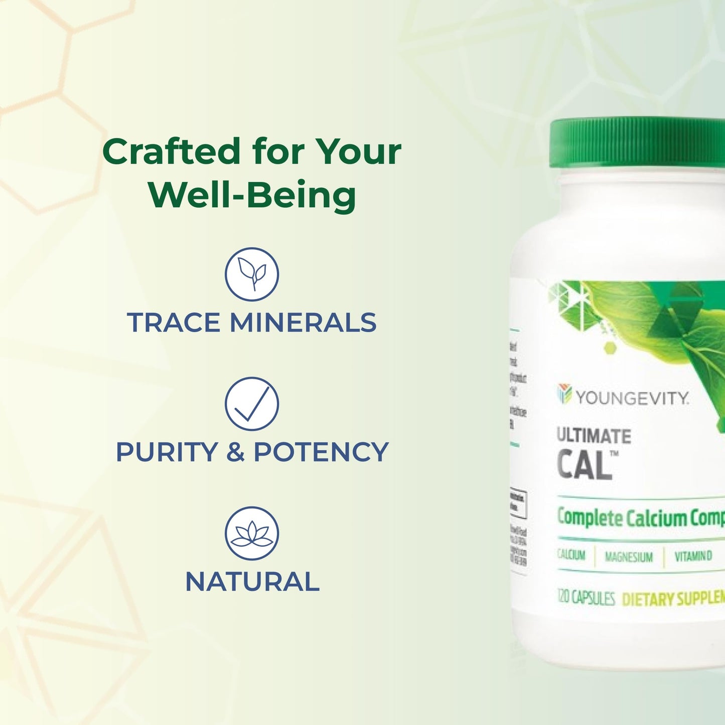 Youngevity Ultimate Cal Calcium Magnesium Bone Health Supplement Capsule 120 Count