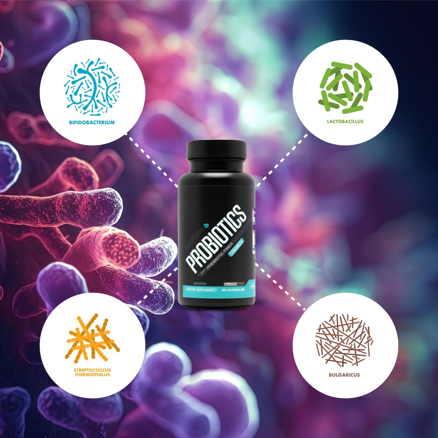 Sculpt Nation Premium Probiotics Digestive & Gut Health Support Capsules 30
