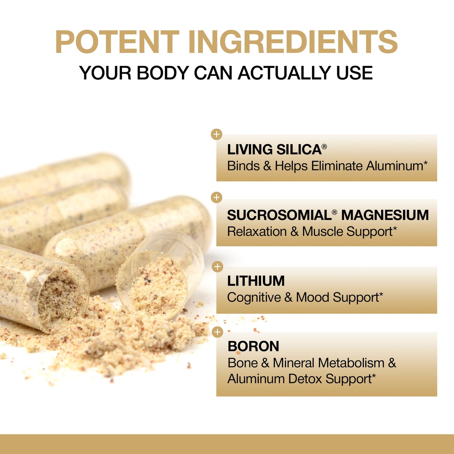 Ionome Labs Daily Cellular Wellness Supplement Capsule, 180 Capsules