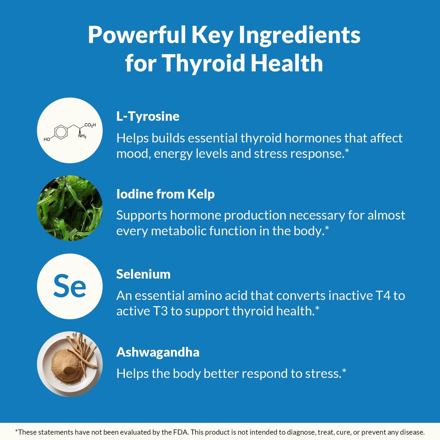 Natural Wellness Thyroid Support Iodine, Selenium & L-Tyrosine Supplement for Healthy Thyroid Function, Energy and Metabolism, Thyroid Support for Women & Men, 60 Vegetarian Capsules