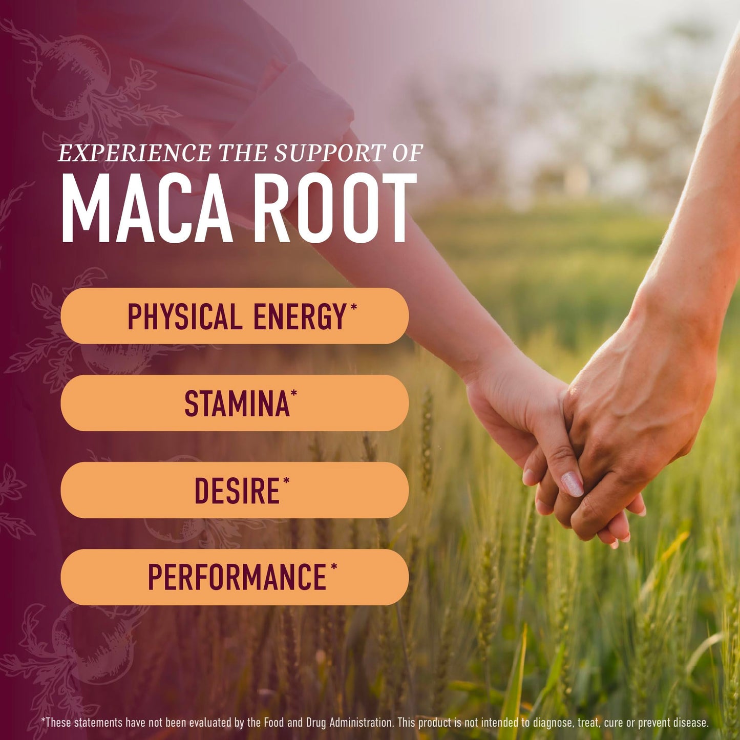 SMNutrition Maca Root Gummies Gummy 60 Count