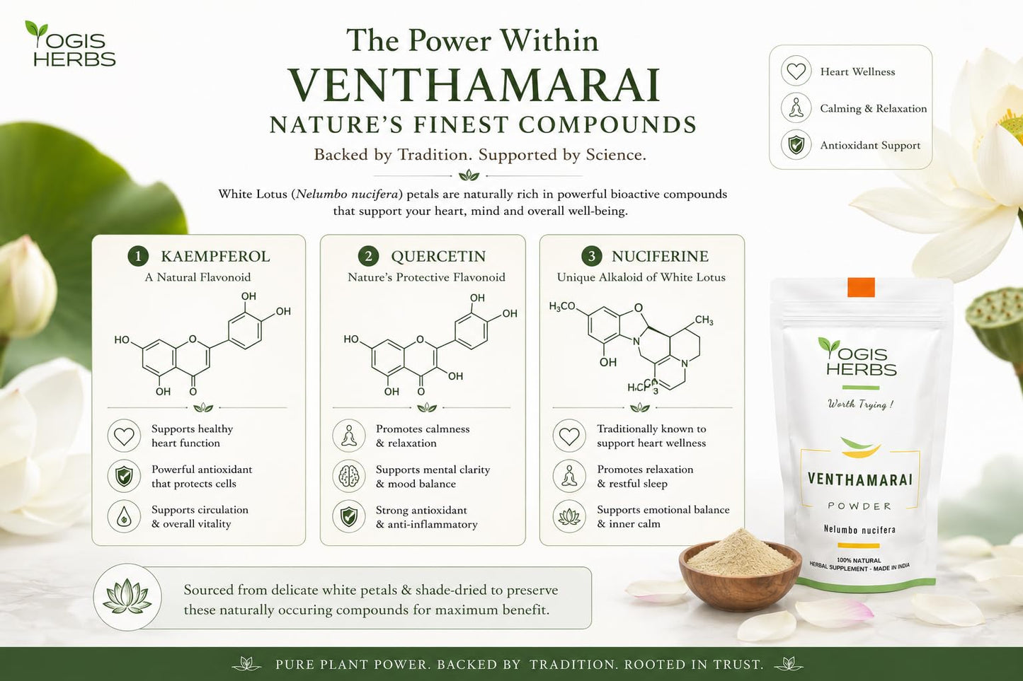YOGIS HERBS Venthamarai Powder, White Lotus (Nelumbo Nucifera/Sacred Lotus/Padma) - Traditional Tamil Siddha Herb for Heart Wellness, Supports Calm Mind & Restful Sleep - Pure Petal Powder, 16