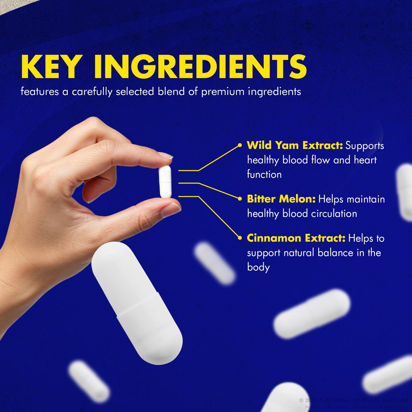 NutraRize Diabextan Capsule 60 Capsules