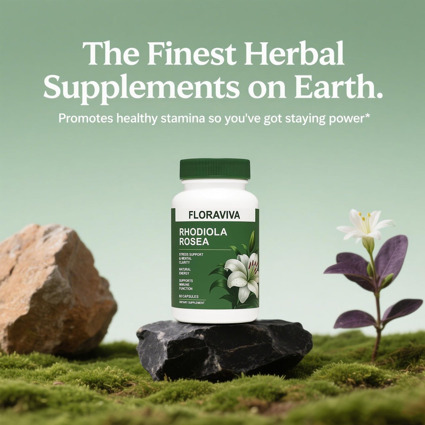 Floraviva Rhodiola Rosea Capsule 500mg, 120 Capsules