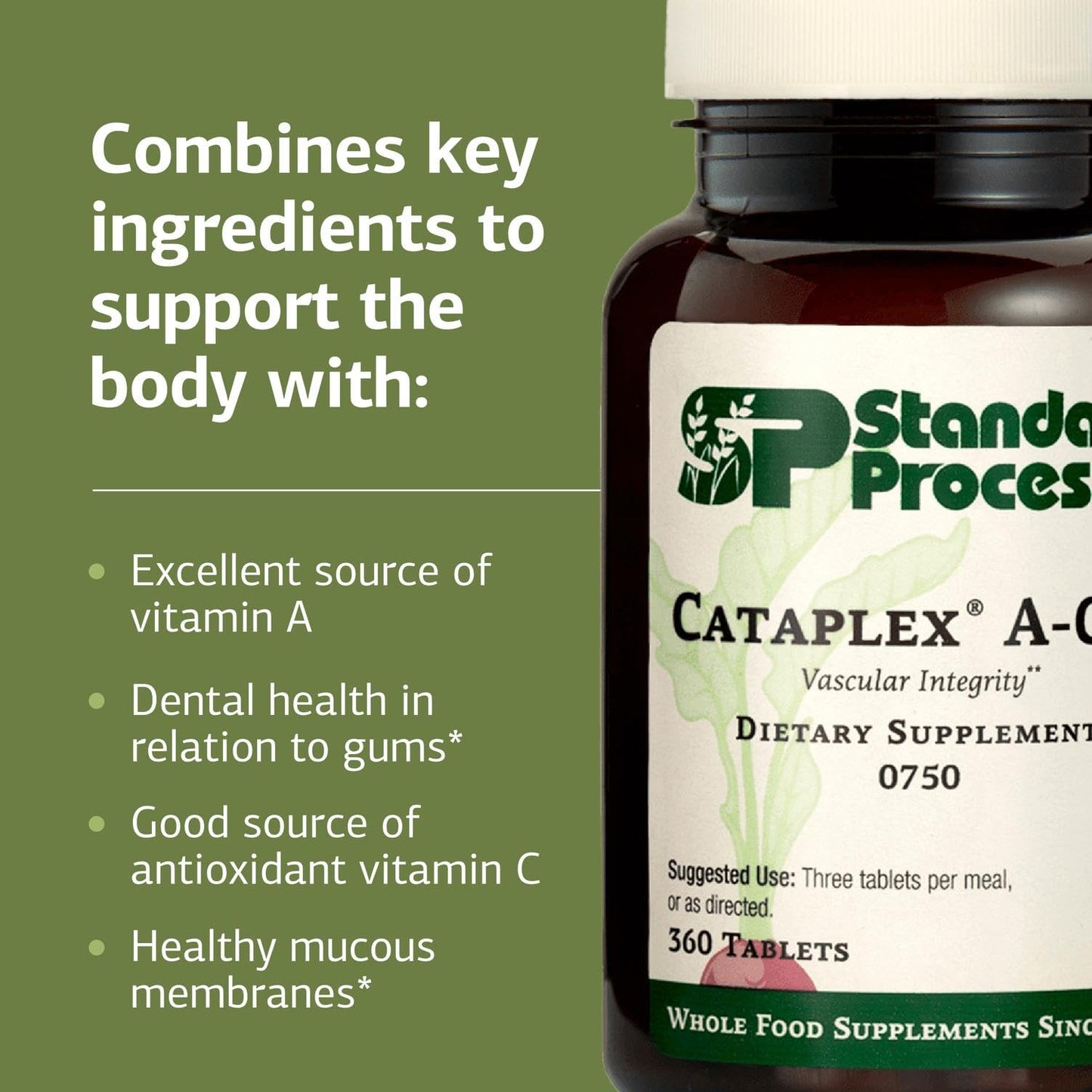 Standard Process Inc. Cataplex A-C-P Healthy Cell & Tissue Dietary Supplement - Non-Dairy & Non-Soy - Vascular & Immune Supplement Care, 360 Tablets