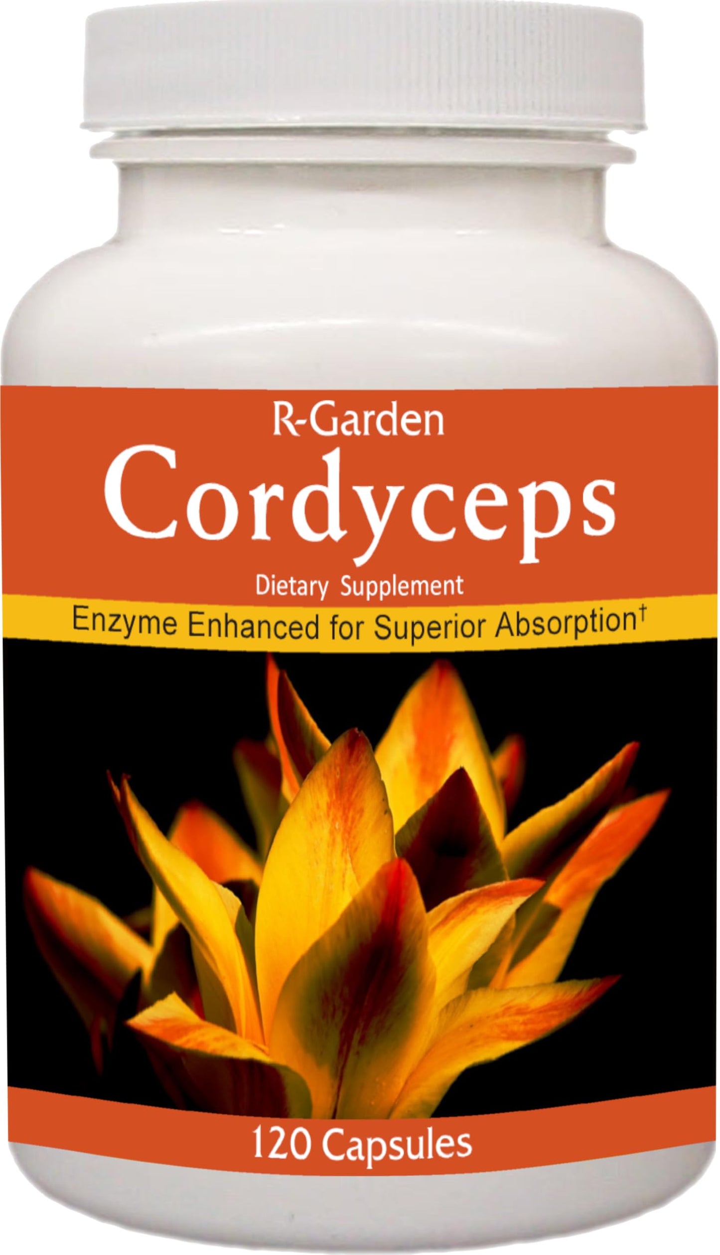 R-Garden Cordyceps 120 Capsules
