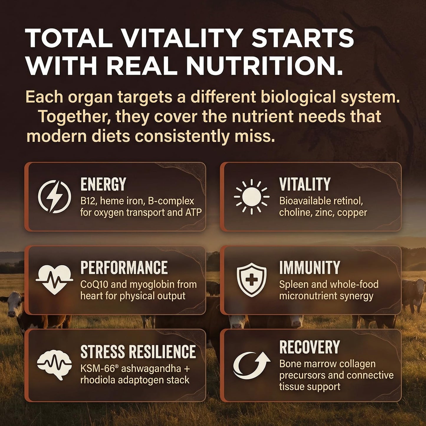 HELLO100 Grass Fed Beef Liver Extract 60 Capsules