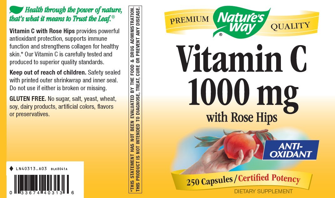 Nature's Way Vitamin C 1000 with Rose Hips Capsules, 250 Count