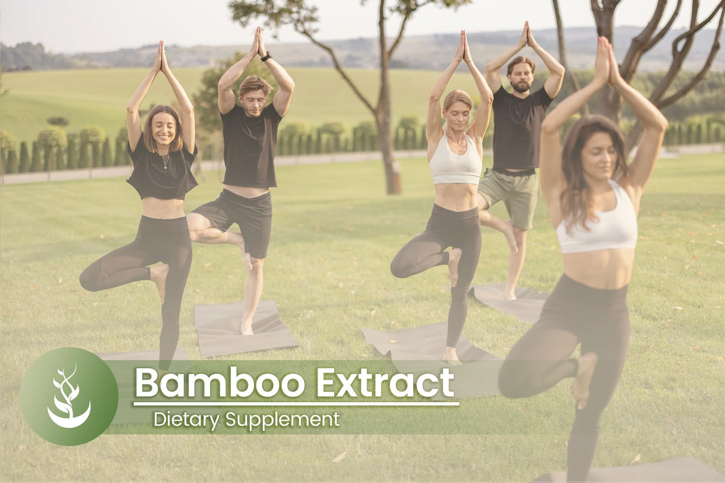 Pure Original Ingredients Bamboo Extract Capsules 100