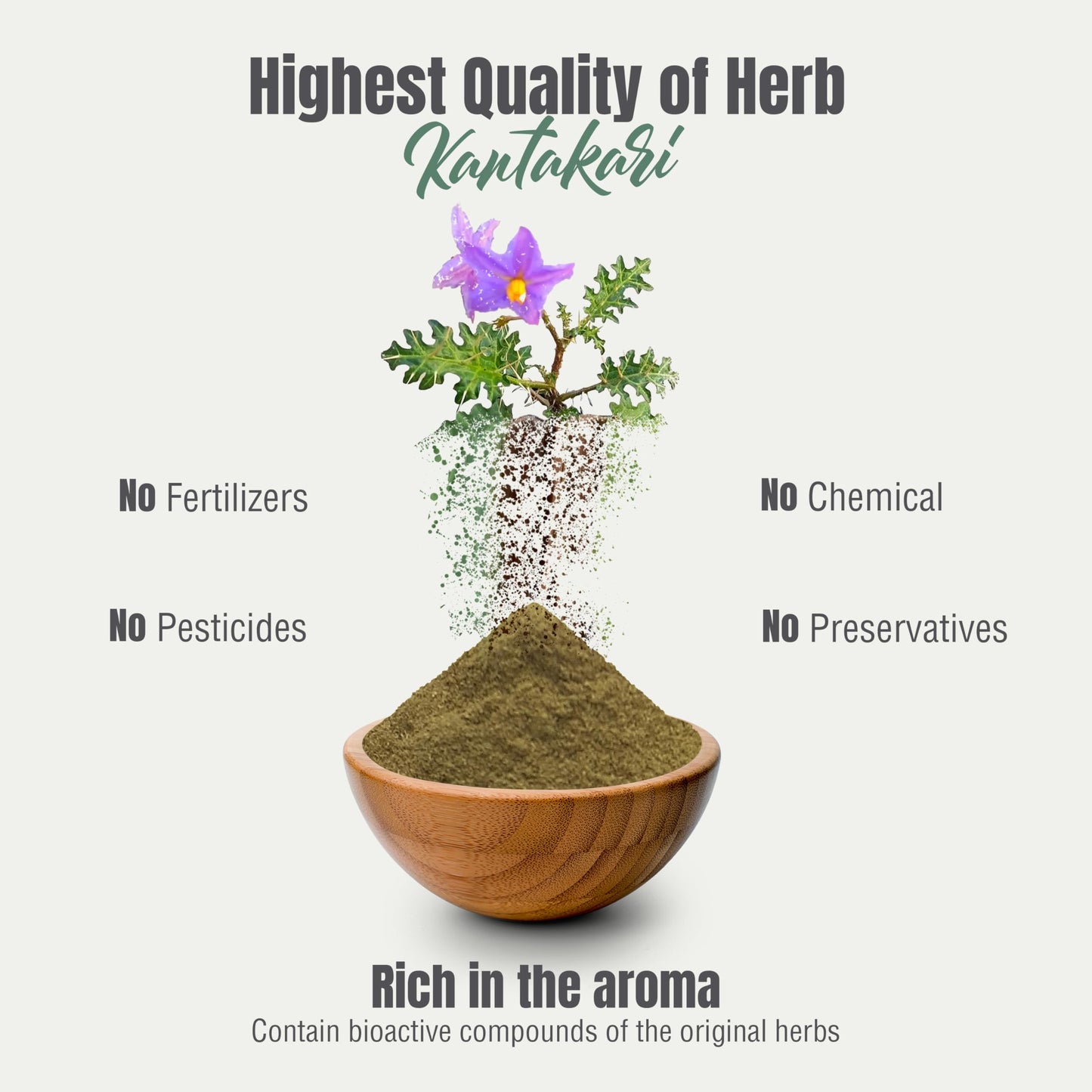 Herbsforever Kantakari Plant Powder 16 oz