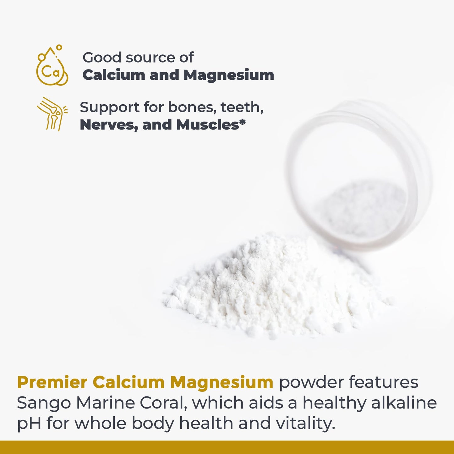 Premier Research Labs Calcium Magnesium Powder, 8 oz