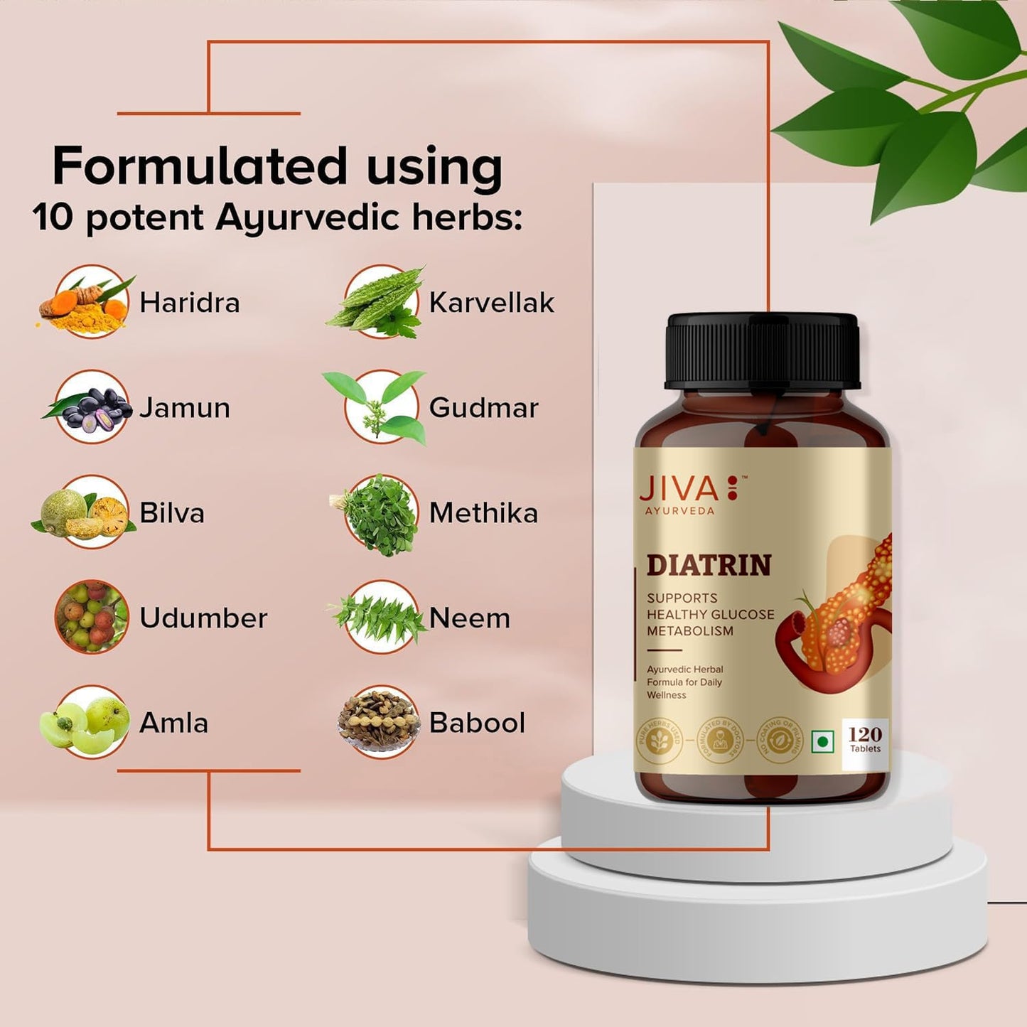 Jiva Ayurveda Diatrin Supplement - Pure Gymnema Sylvestre & Bitter Melon (Karela) - 120 Tablets