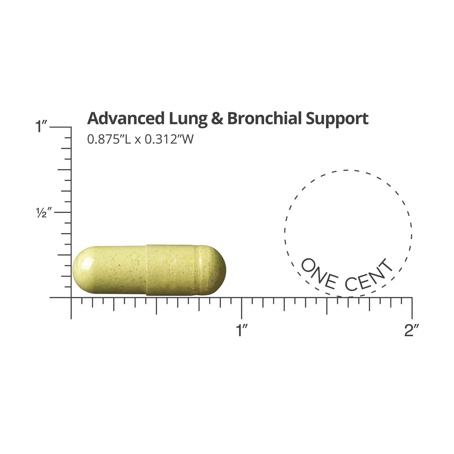 Dr. Sinatra Advanced Lung & Bronchial Support Supplement for Lung Health Support, Clear Breathing and Respiratory Function Capsule 60 Count