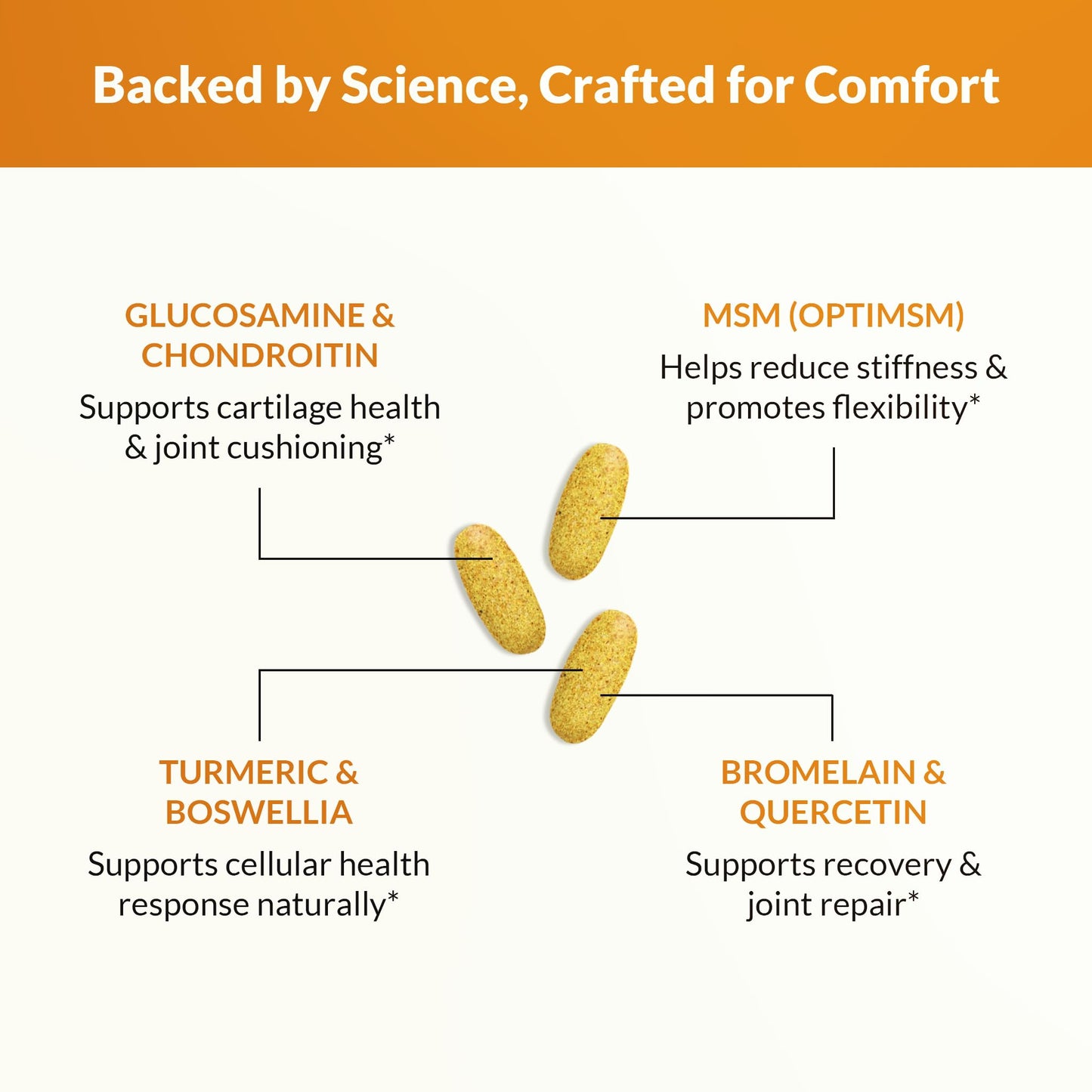 Natural Wellness Glucosamine Chondroitin with MSM and Turmeric Tablet 90 Count