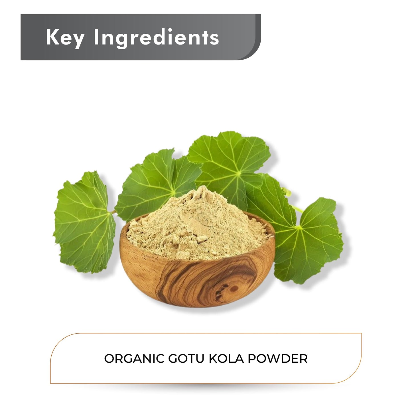Just Jaivik Gotu Kola Powder 8 Count