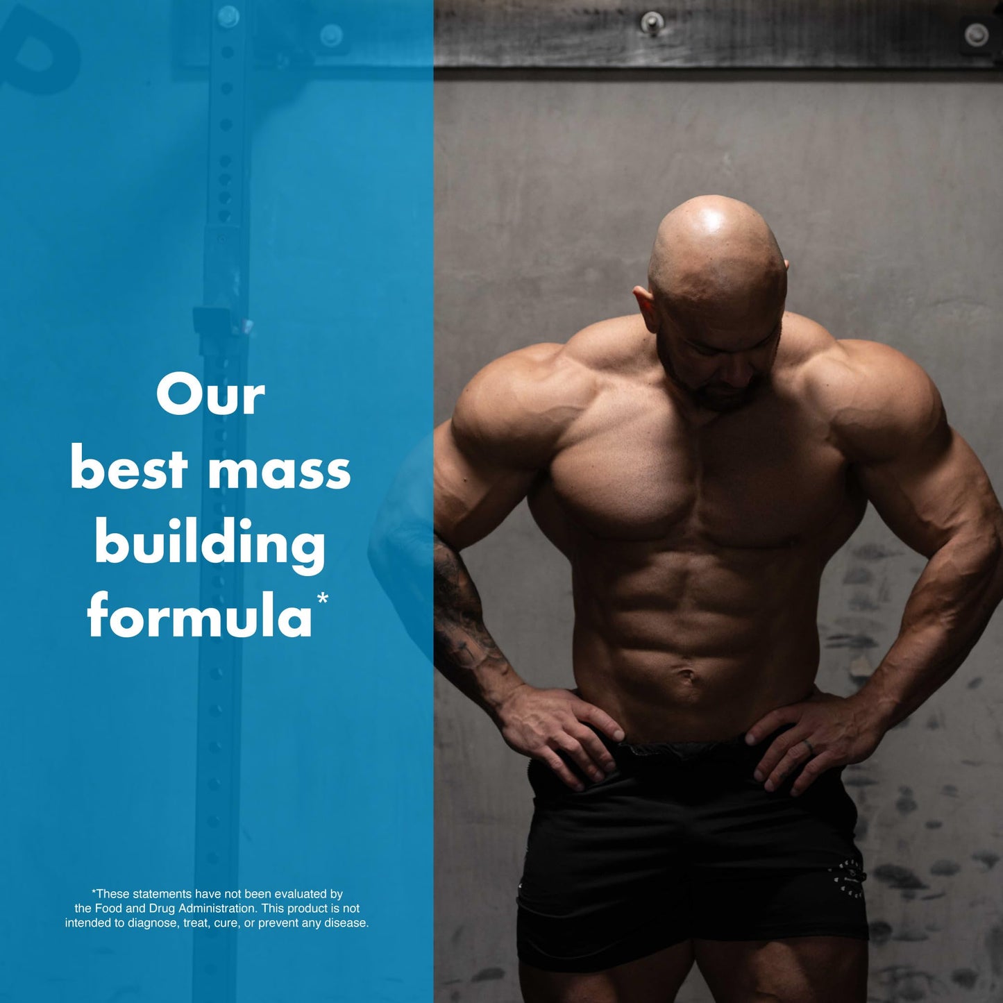 Anabolic Warfare Project Bulk 90 Capsules