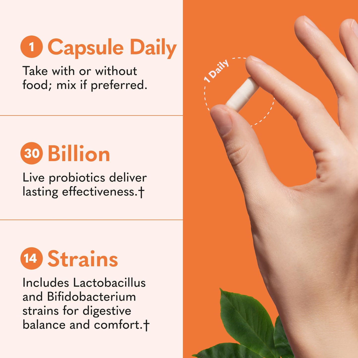 Garden of Life Dr. Formulated Probiotics Once Daily 30 Billion CFU Capsules, 30 Count