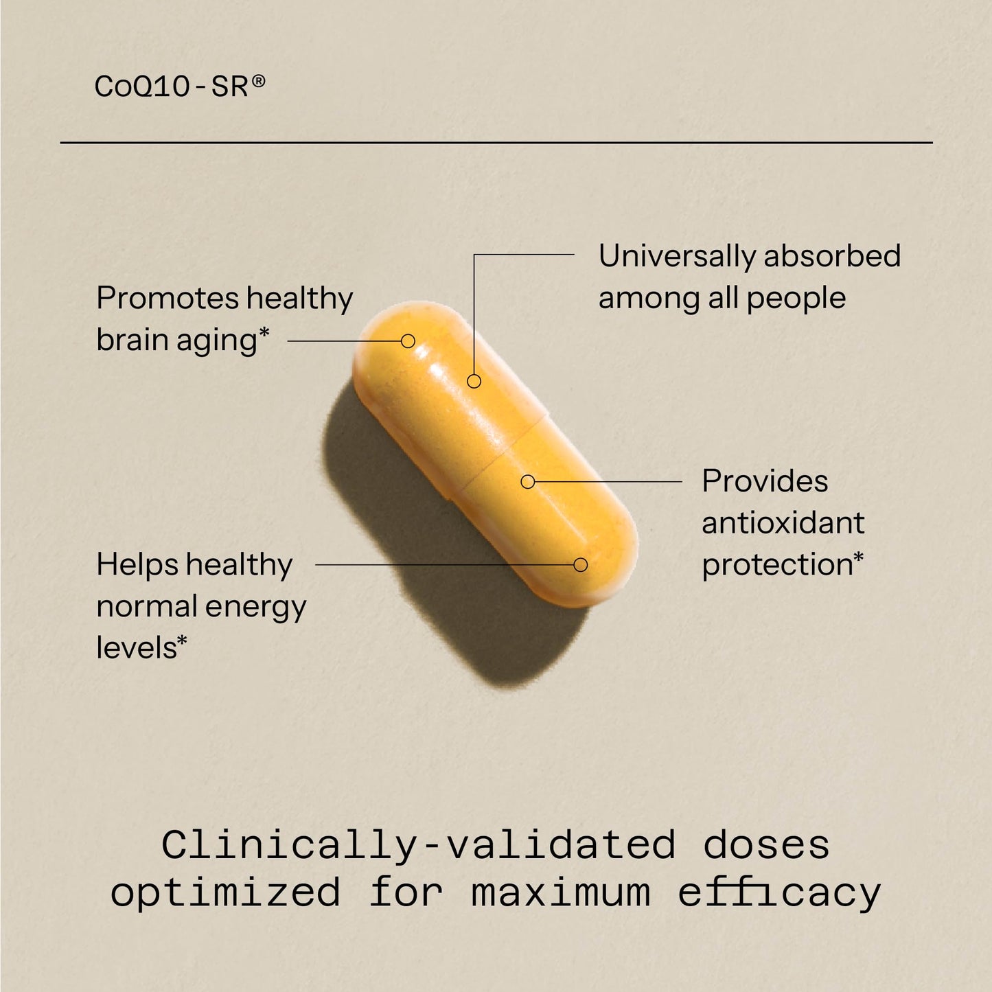 Quality of Life CoQ10 Sustained Release MicroActive Capsule 60 Count