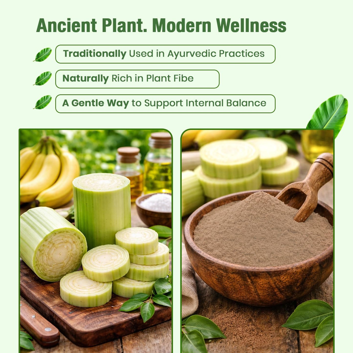 Foodherbs Banana Stem Powder 1 Count