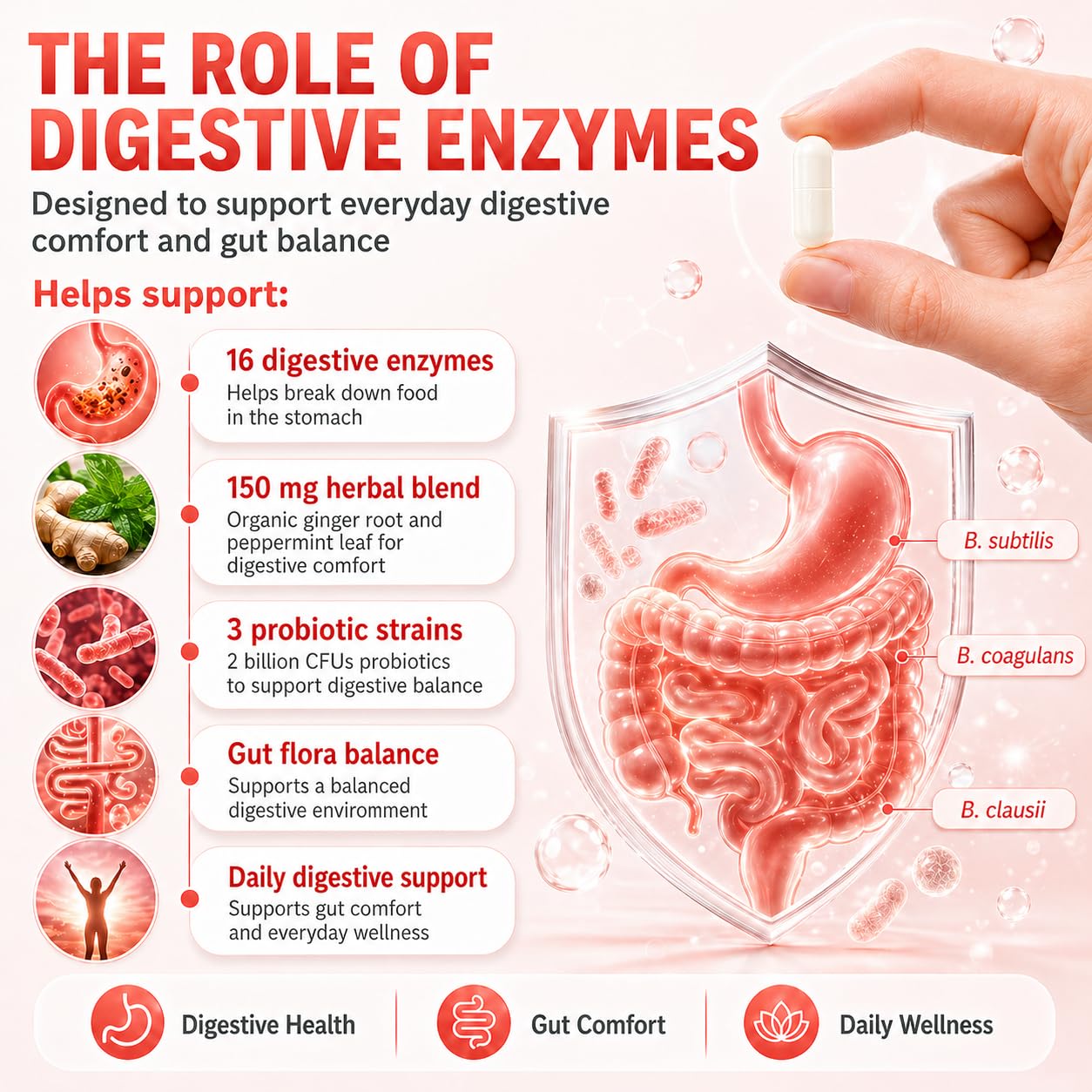 LOUDSAY Digestive Enzymes Supplement with Probiotics Capsule, 60 Count