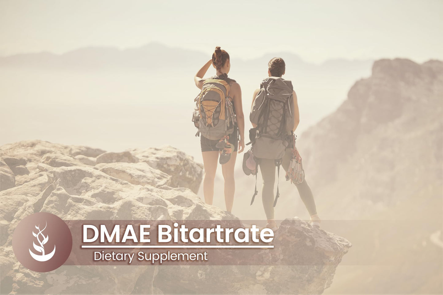 Pure Original Ingredients DMAE Bitartrate 100 Capsules