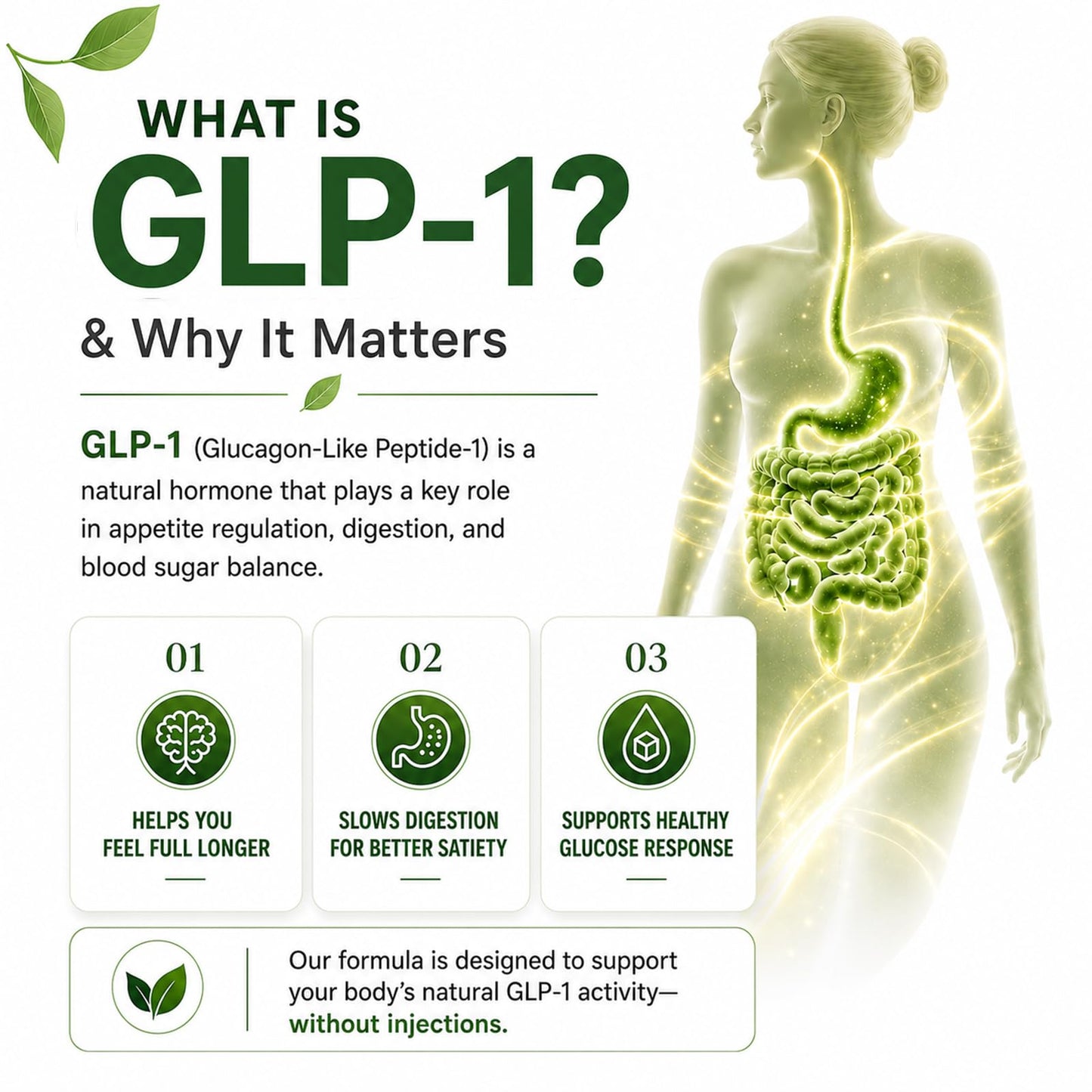 DVO GLP-1 Support Supplement for Women & Men – Probiotics, Prebiotics, Berberine & Chromium – Appetite, Gut & Metabolic Support – 90 Vegan Capsules