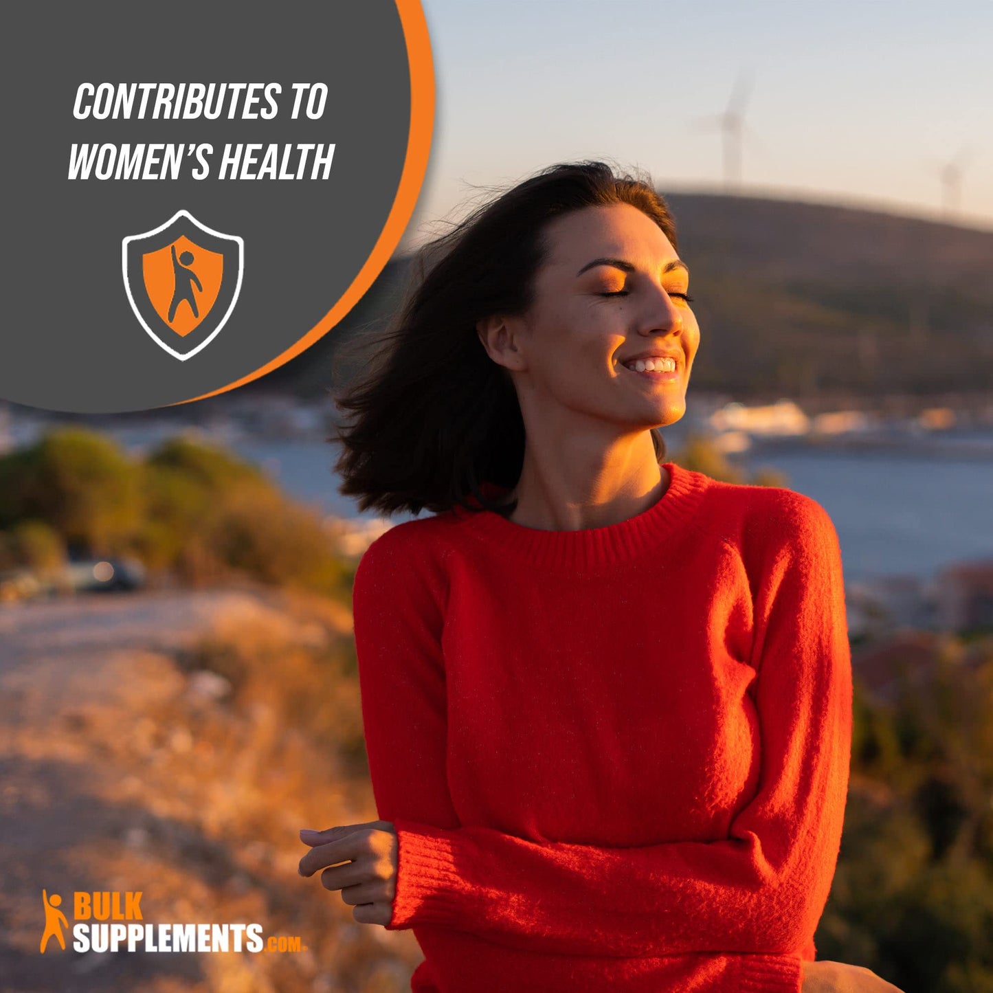BulkSupplements Black Cohosh Extract Powder 176.19