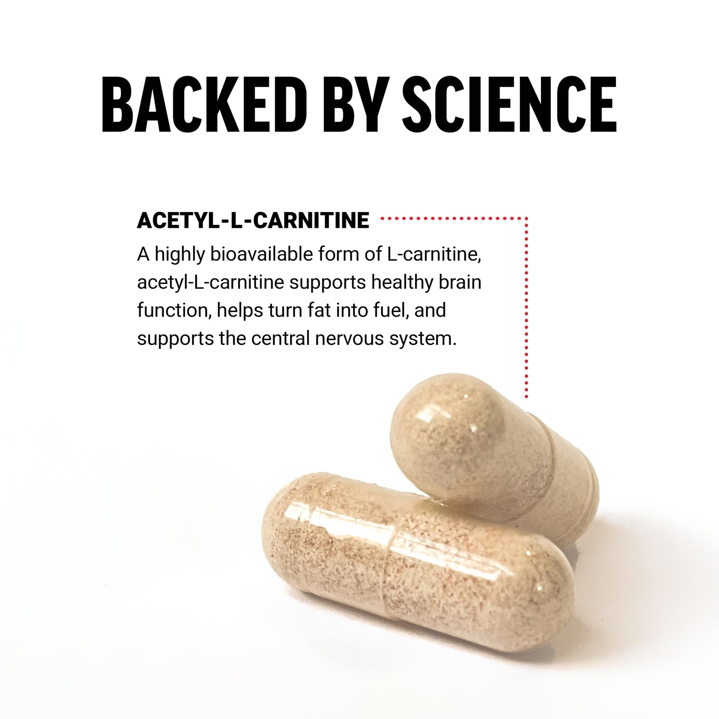 Force Factor Acetyl L-Carnitine 100 Capsules