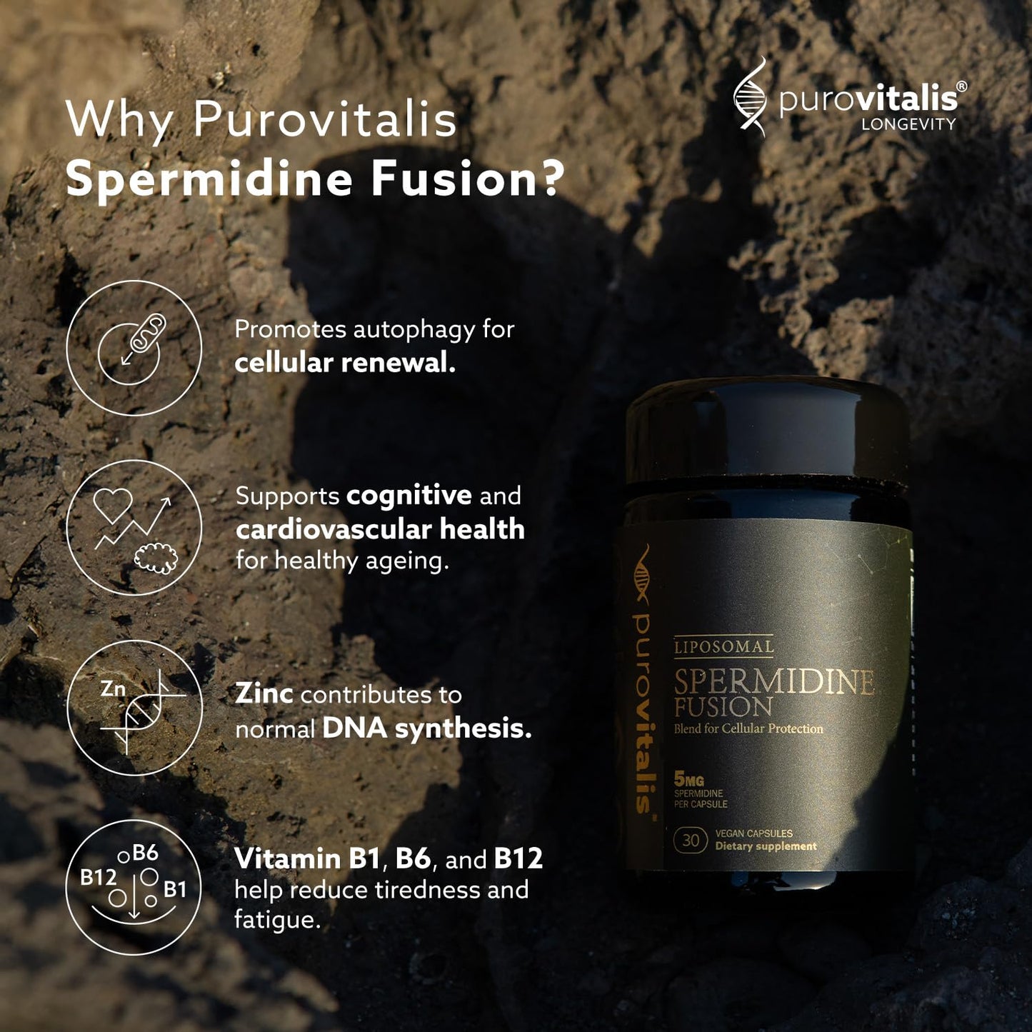 PUROVITALIS Liposomal Spermidine 5mg with Zinc, Vitamin D3 & B12, Cell Renewal & Anti-ageing Supplement, 30 Vegan Capsules