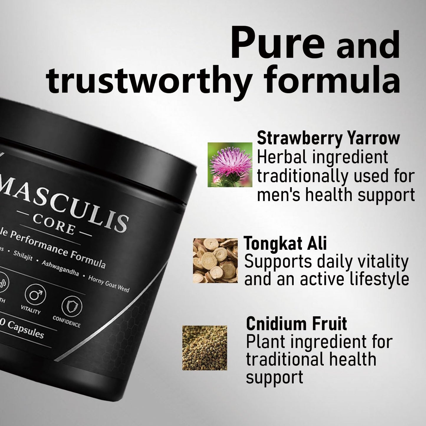 Neurocept MASCULIS Men's Daily Support Capsules, 90 Count