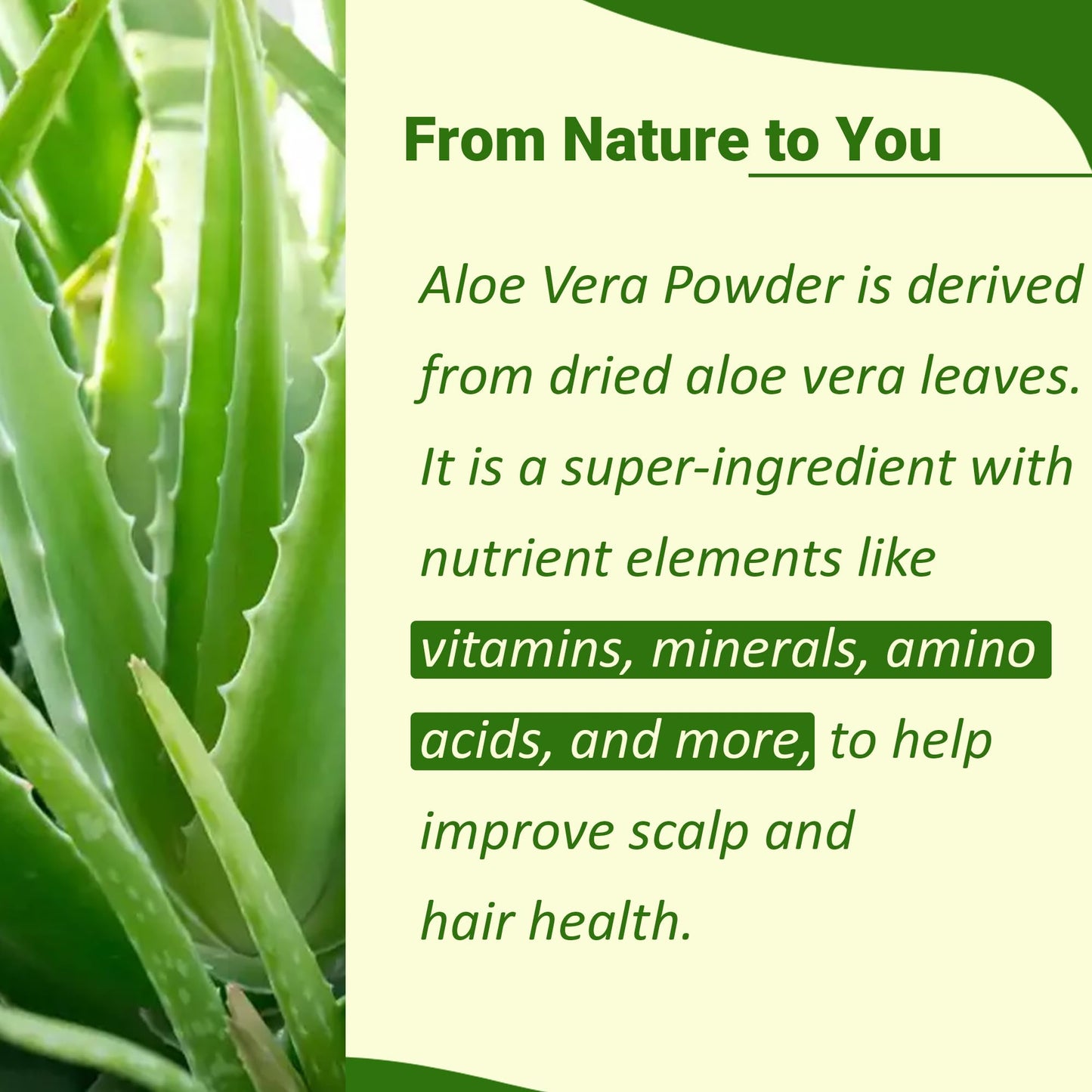 Minature Aloe Vera Powder 16 oz
