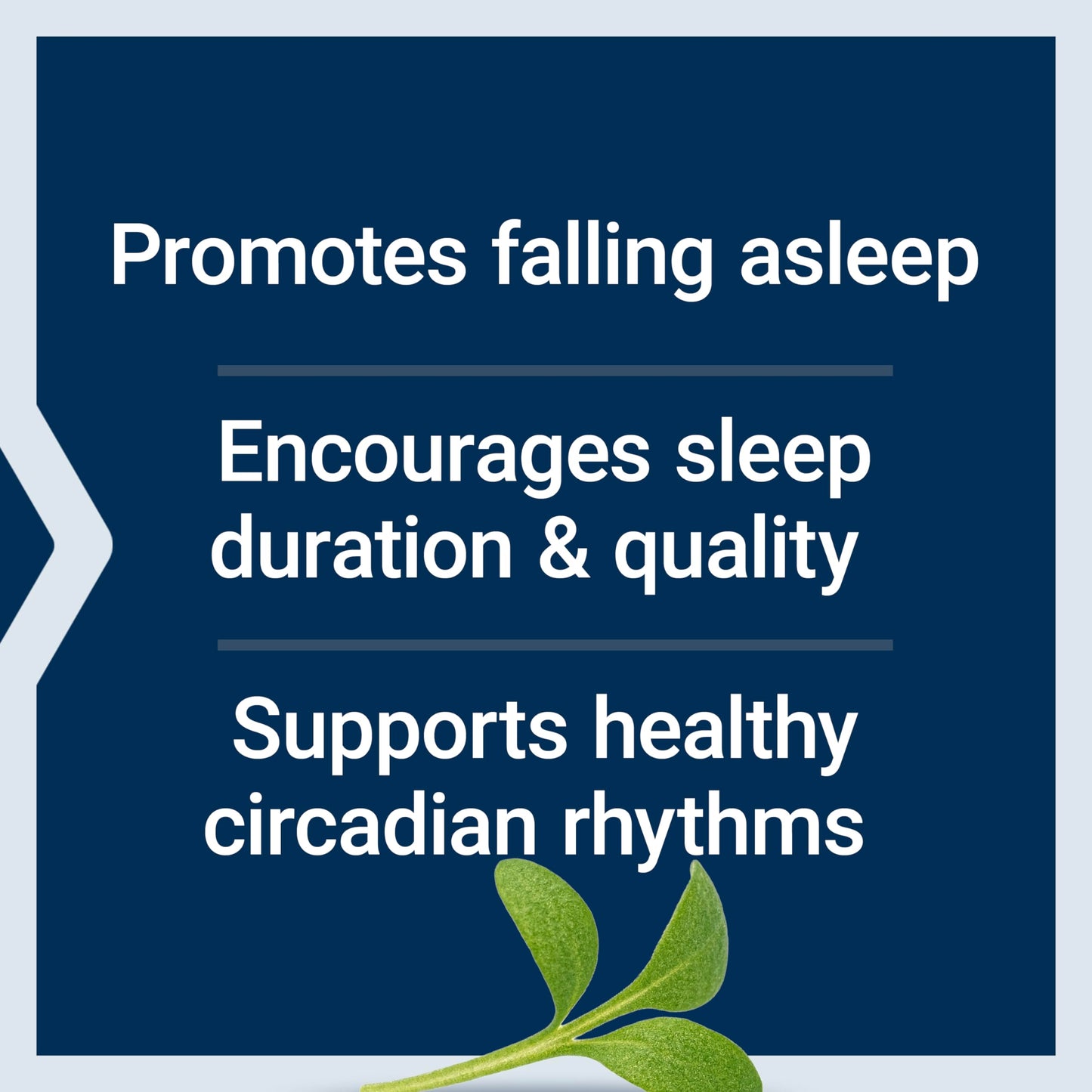 Life Extension Quiet Sleep Melatonin 5 mg Capsules, 60 Capsules