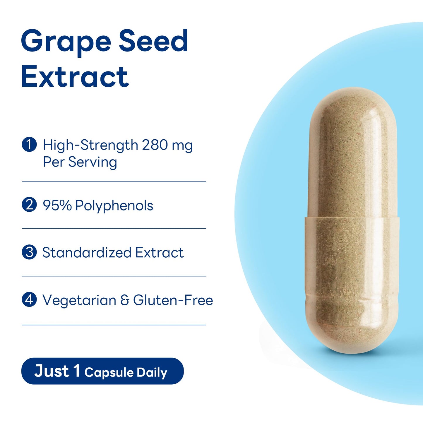 Vitamin World Grape Seed Extract, 95% Polyphenols, Vegetarian Capsule, 100