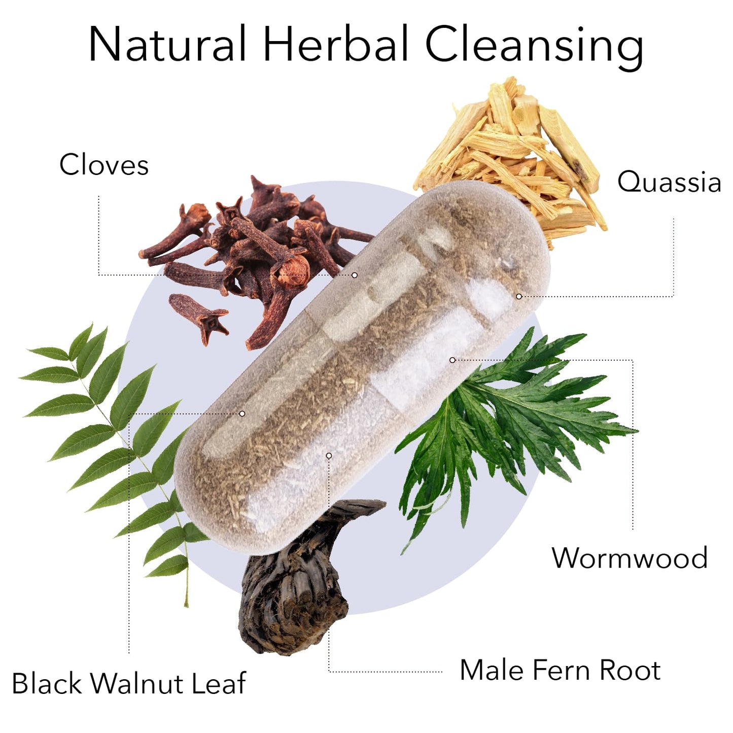 Kroeger Herb Products Worm Wood Detox Cleanse Capsules, 200 Capsules