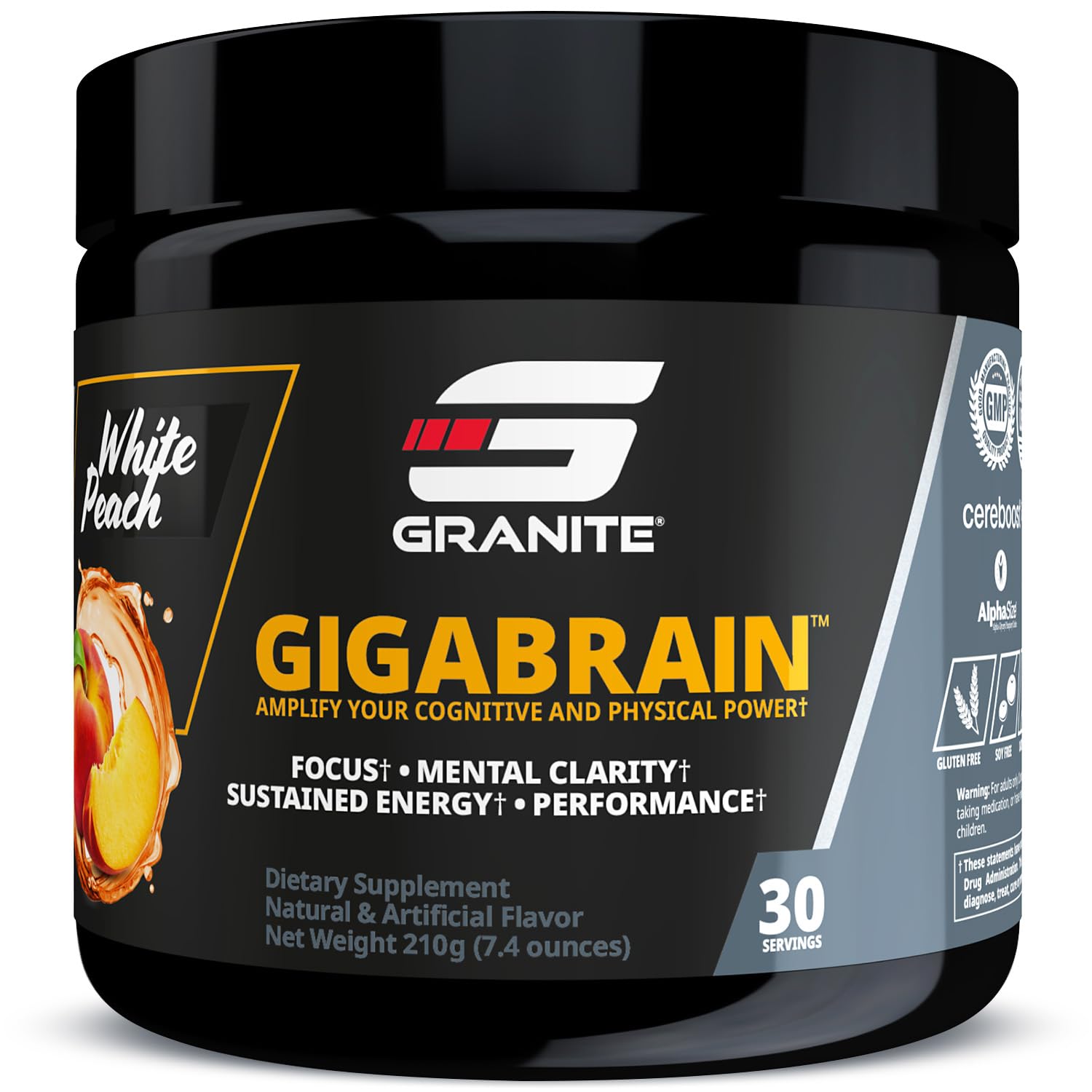 Granite Supplements GigaBrain Nootropic Energy Powder Cereboost, Alpha-GPC & ElevATP 7.2 Ounce