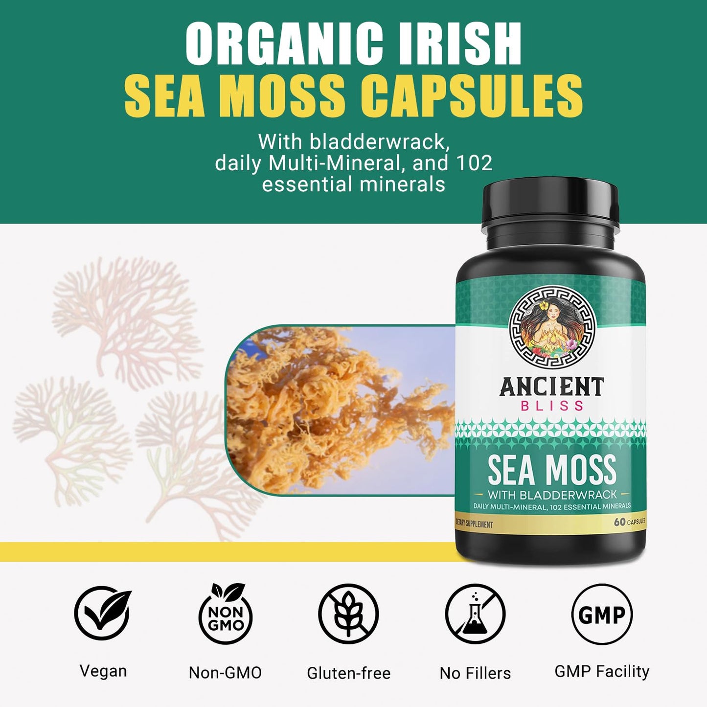 Ancient Bliss Organic Irish Sea Moss Capsules, 120 Capsules