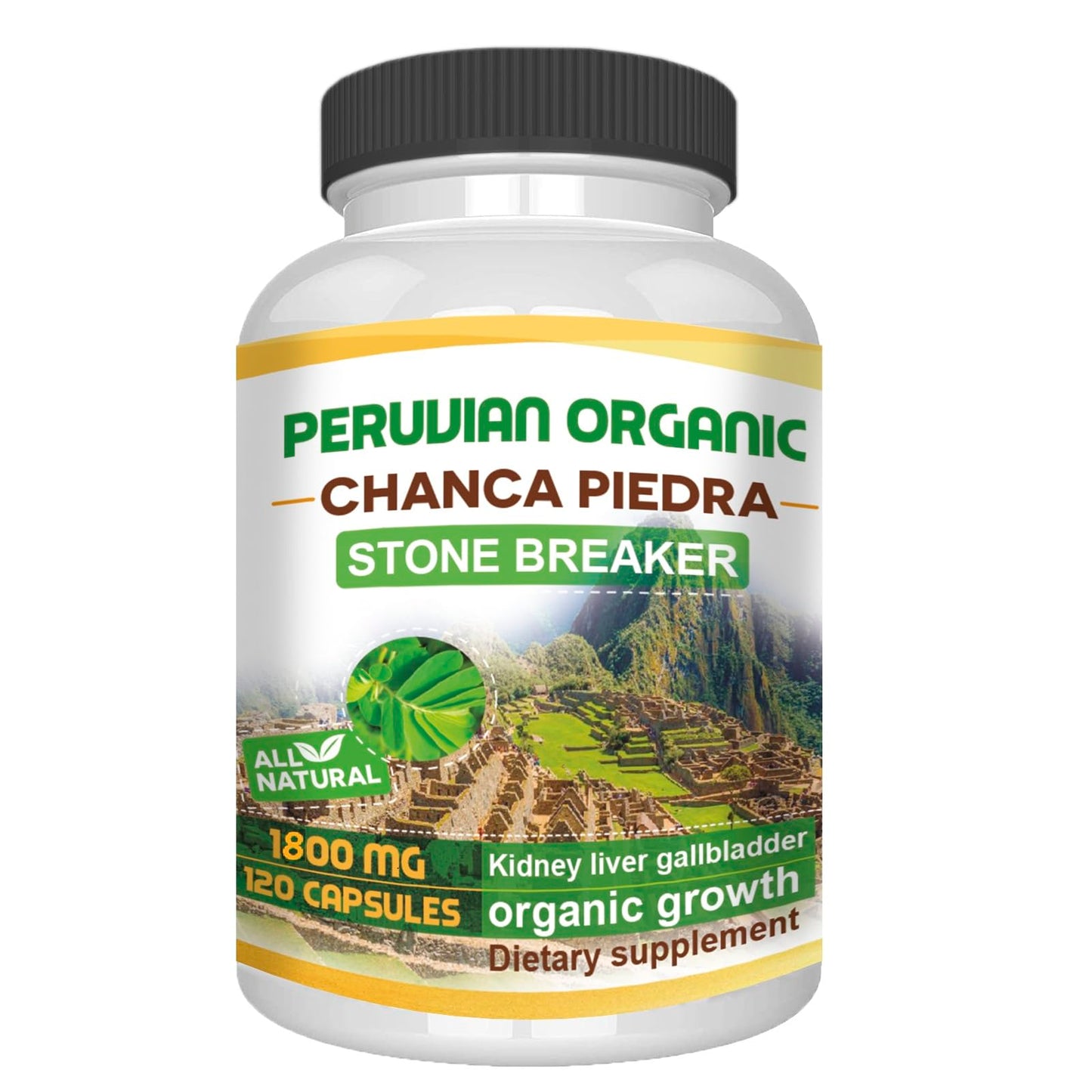 VITAMISAN Chanca Piedra Kidney Stone Support Capsules, 120 Count