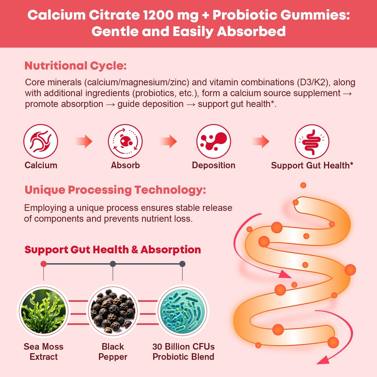 JIANKYTZ Sugar Free Calcium Citrate 1200 mg + Probiotic Gummies with Vitamin D3, K2, Magnesium Gummy, 120 Count