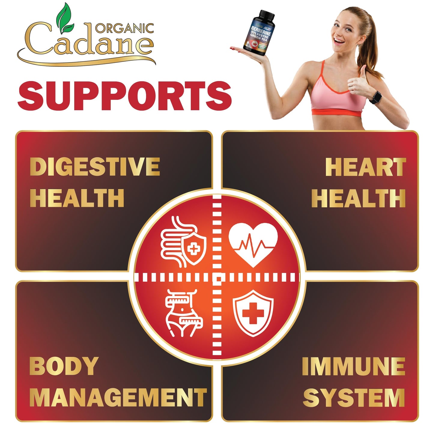 Organic Cadane Berberine Supplement Capsule 150 Capsules