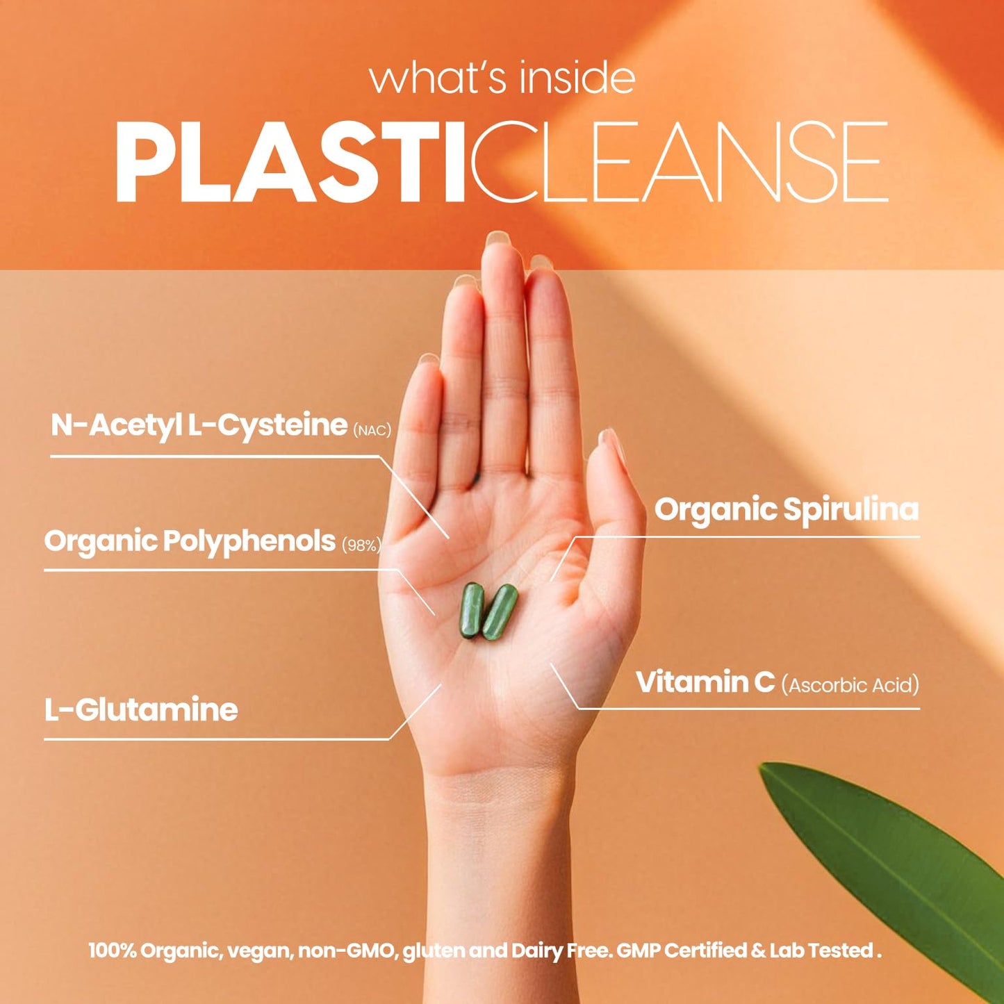 Daily Fix Wellness PlastiCleanse Full Body Detox Capsule 120 Count