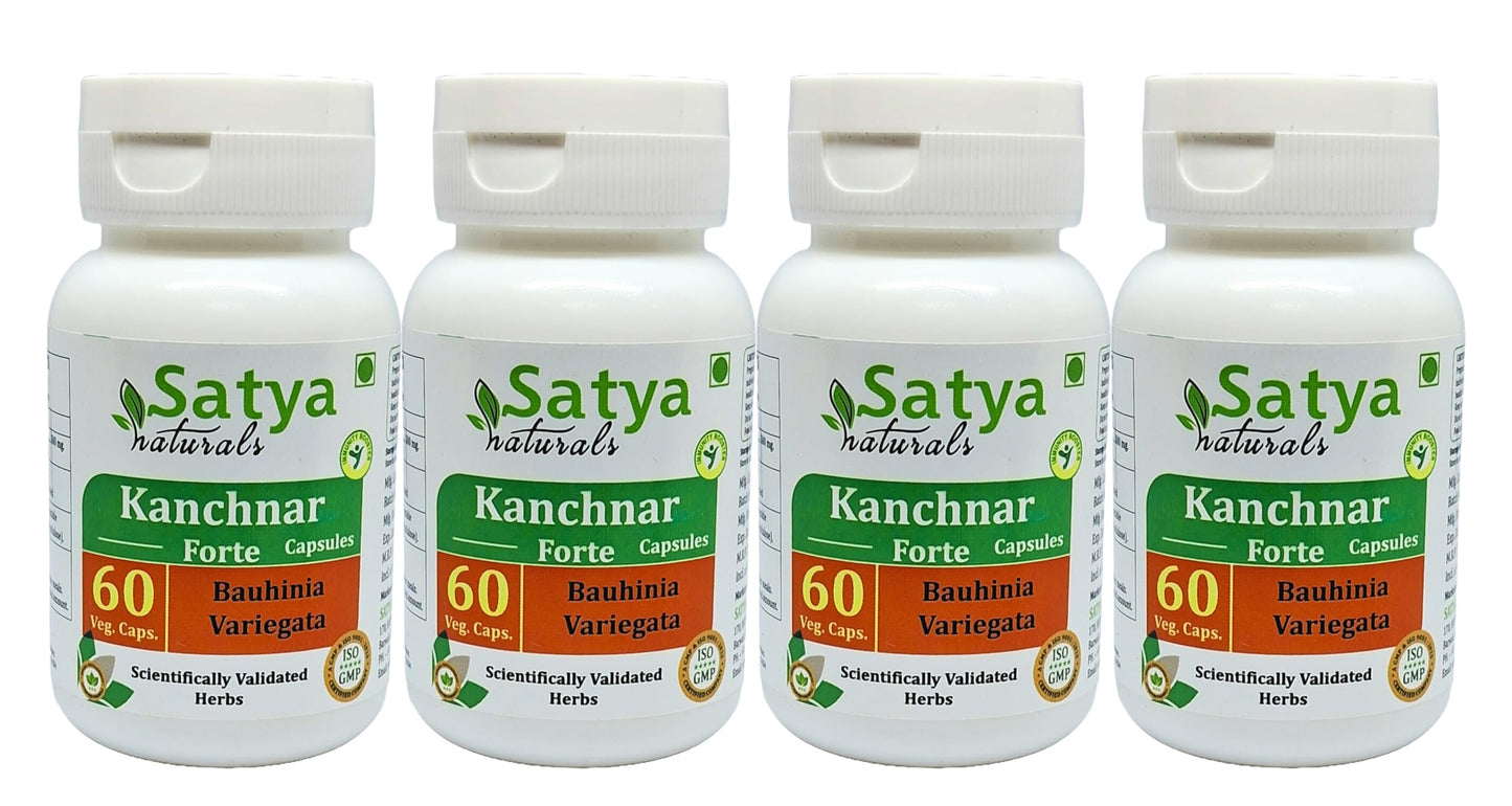 Satya Naturals Kanchnar Forte 500 mg Capsules, 240 Count